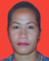Kepala Desa